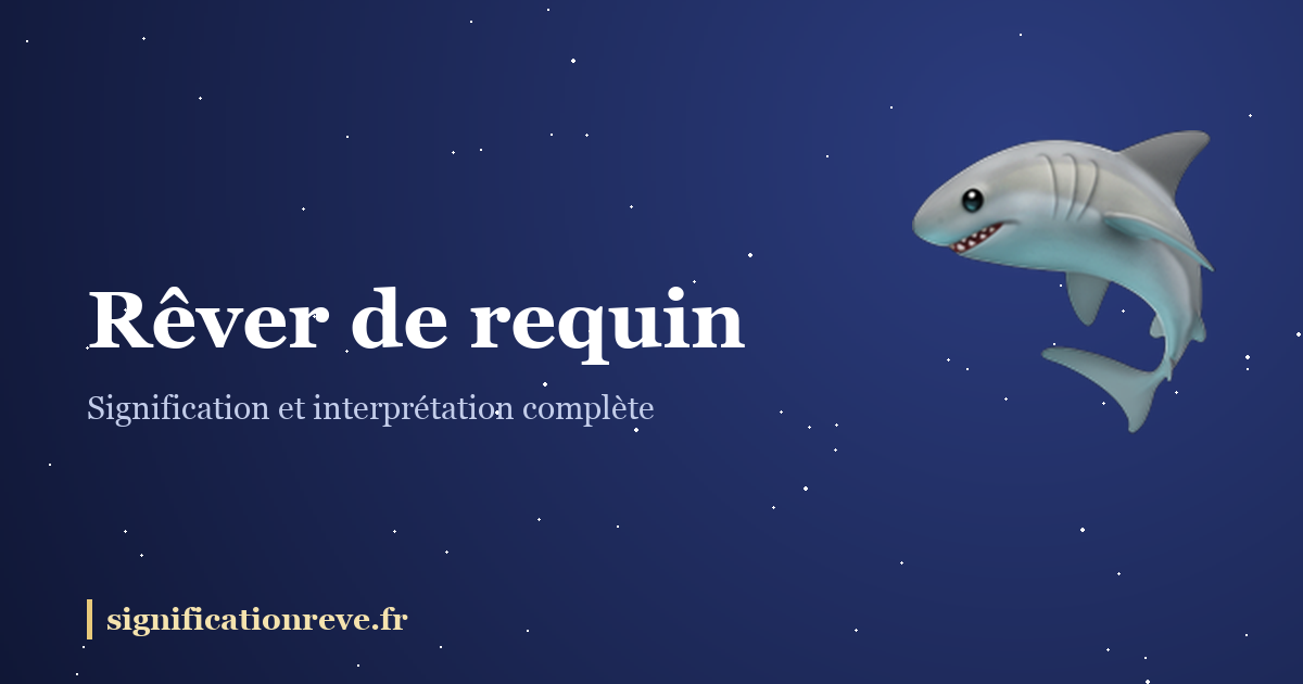 Rêver de requin : illustration